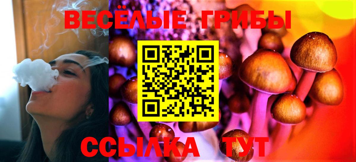 Псилоцибиновые грибы Psilocybine cubensis  Вход с VPN  где купить   Асино 